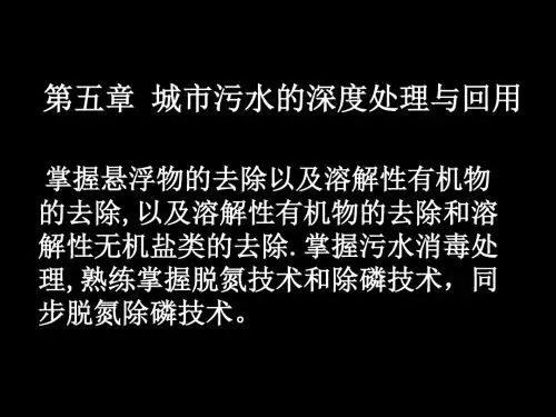 第五章城市污水的深度处理与回用.ppt