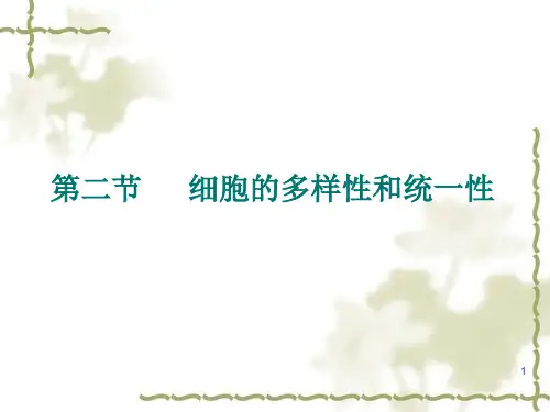 人教版 高一生物第二章第二节   细胞的多样性和统一性PPT课件