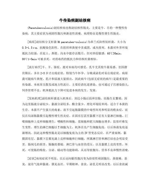 牛传染病副结核病