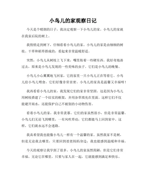  小学三年级作文小鸟儿的家观察日记