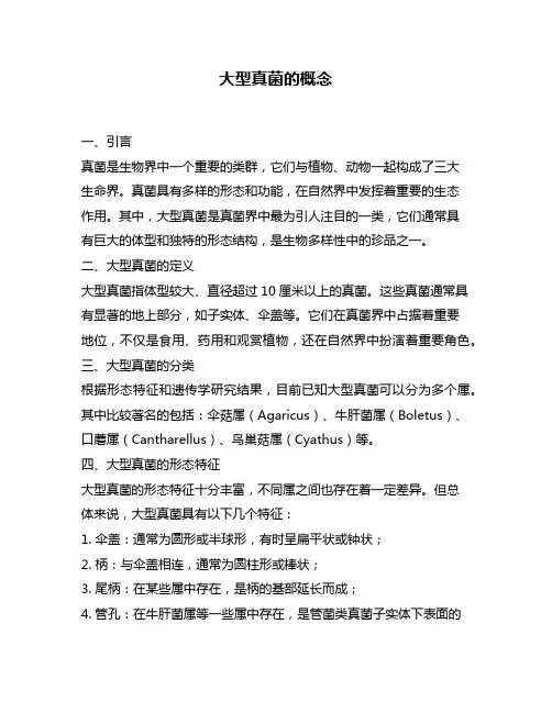 大型真菌的概念