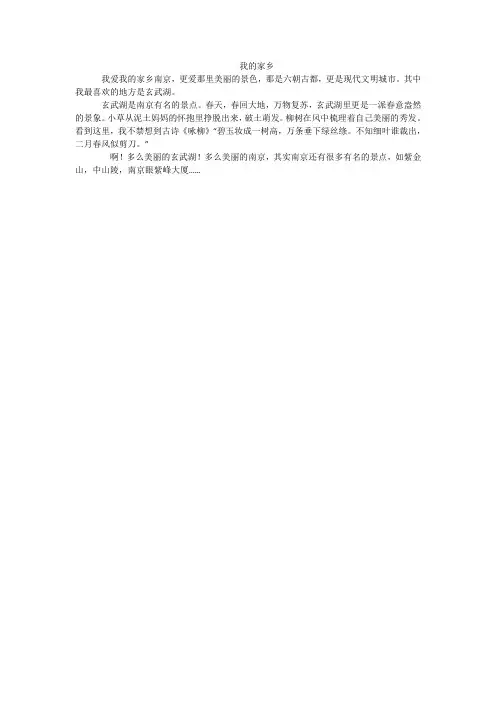 2年级我的家乡写话100字作文