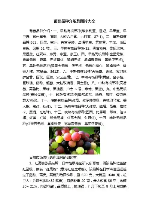 葡萄品种介绍及图片大全
