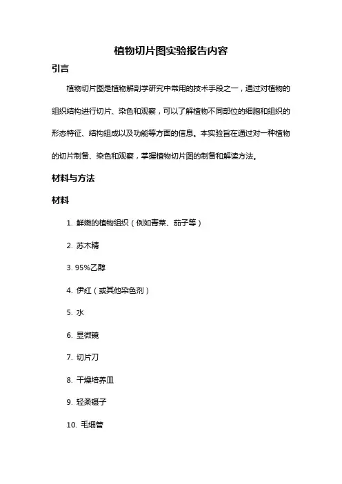 植物切片图实验报告内容