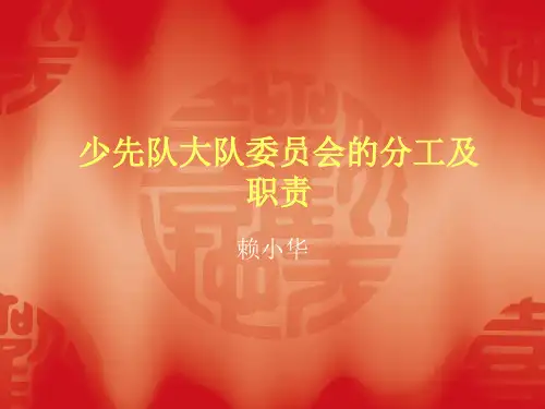 少先队大队委员会的分工及
