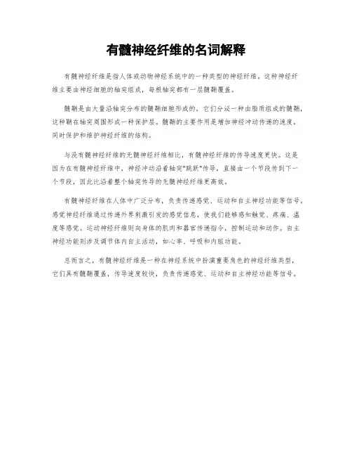 有髓神经纤维的名词解释