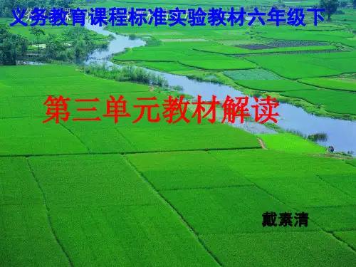 人教版小学六年级下册第三单元教材解读