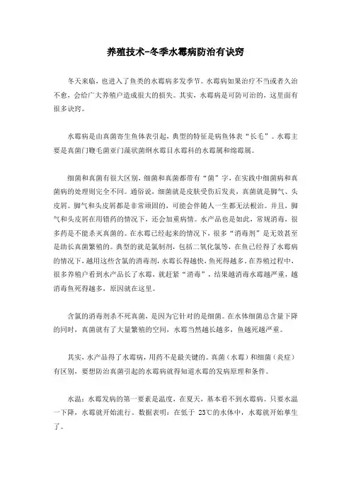 养殖技术-冬季水霉病防治有诀窍