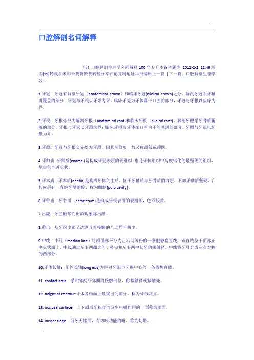 口腔解剖名词解释