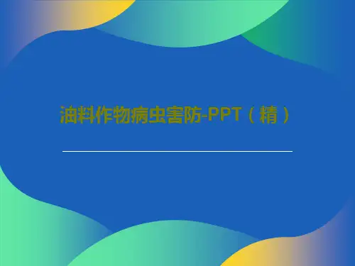 油料作物病虫害防-PPT(精)共50页