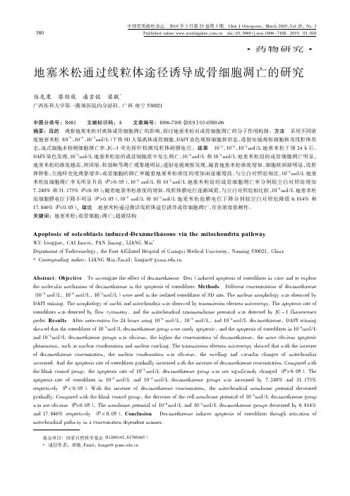 地塞米松通过线粒体途径诱导成骨细胞凋亡的研究