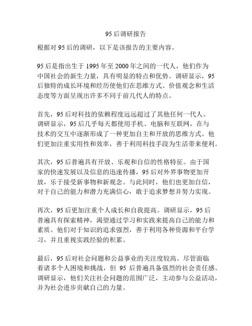 95后调研报告