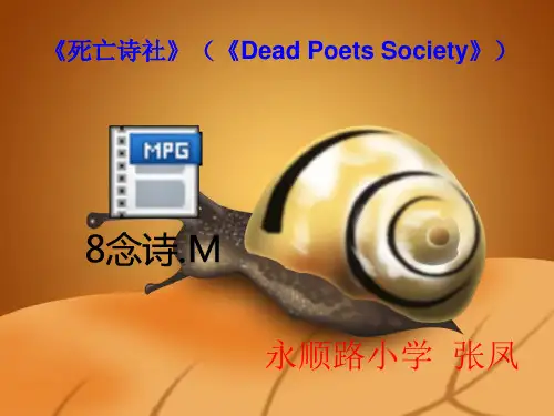 牵一只蜗牛去散步(精彩).ppt
