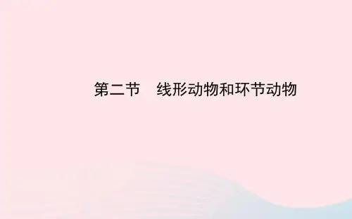八年级生物上册第五单元第一章第二节线形动物和环节动物课件(人教版生物)