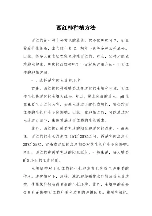 西红柿种植方法