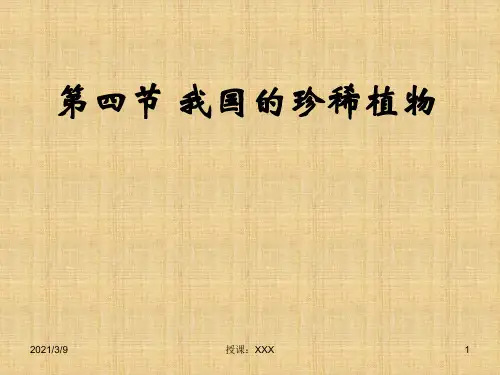 七年级生物我国的珍稀植物PPT课件