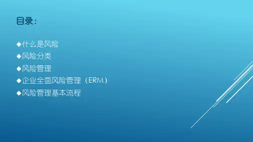 金融风险管理ppt课件