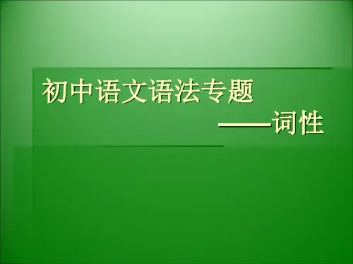 初中语文语法词性