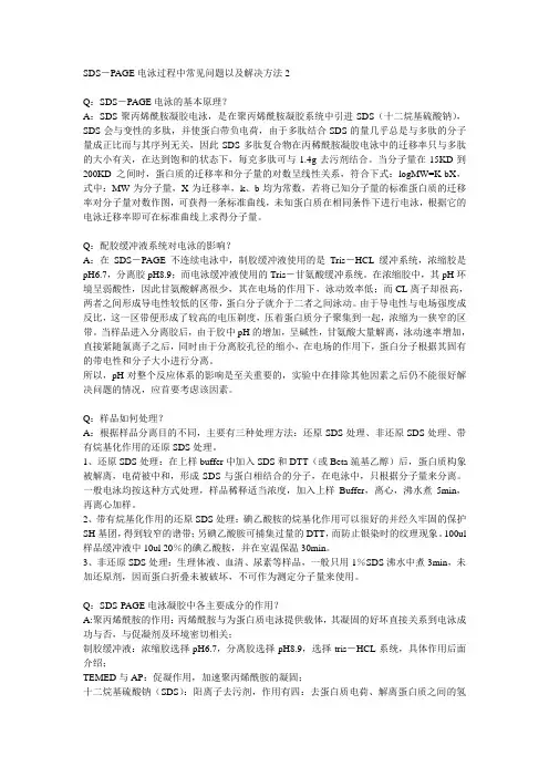 SDS-PAGE电泳常见问题及解决