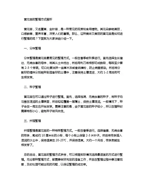 黄花菜繁殖方式