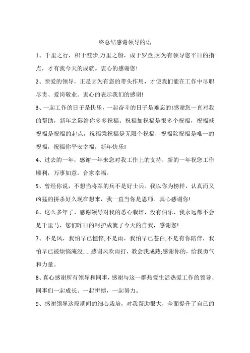 终总结感谢领导的语