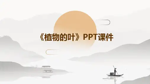 《植物的叶》课件