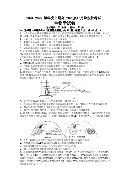 四川省成都市第七中学2024-2025学年高三上学期10月月考生物试题含答案
