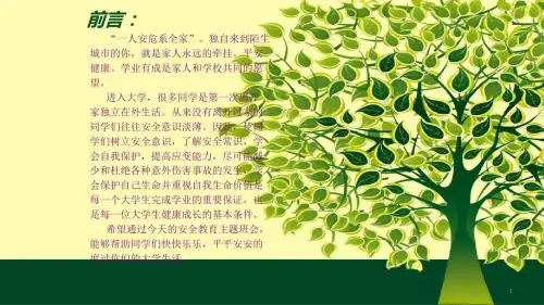 高中安全教育主题班会ppt课件