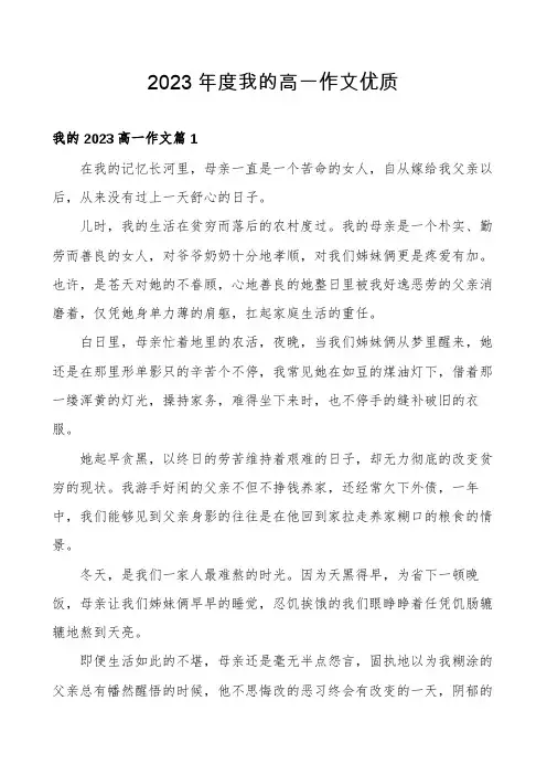 2023年度我的高一作文优质