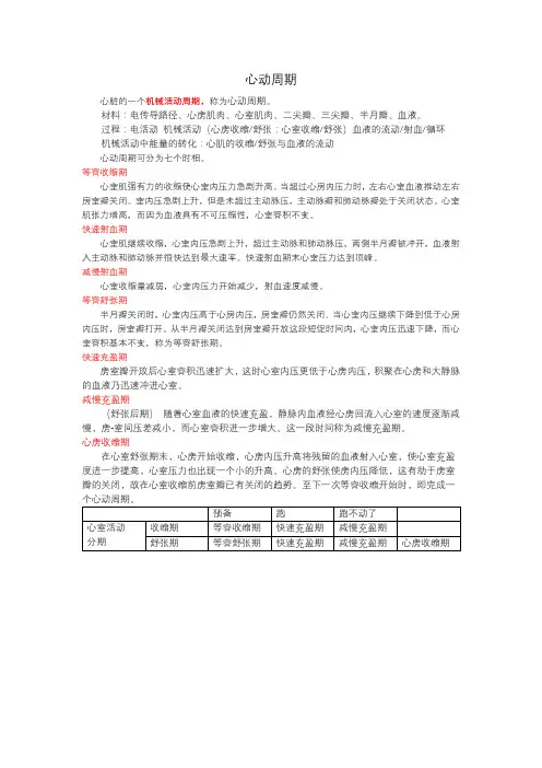 心动周期的过程