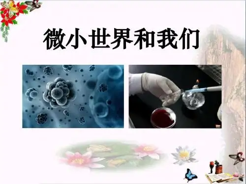 《微小世界和我们》微小世界 精品PPT课件2