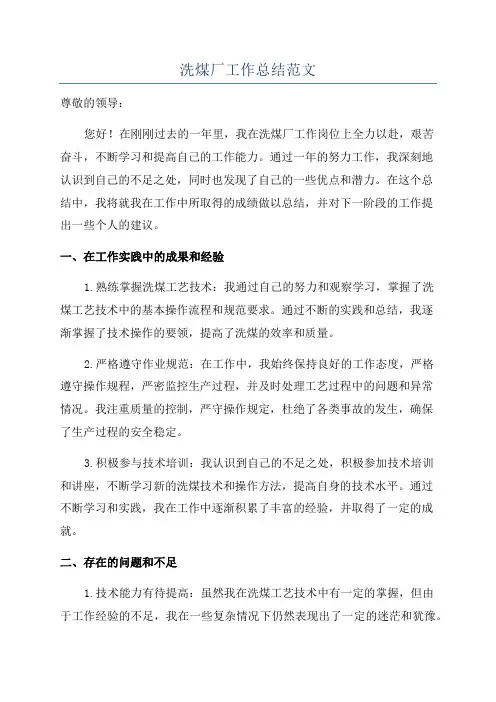 洗煤厂工作总结范文