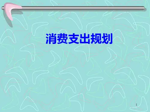 《消费支出规划》PPT课件