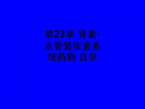 第23章 肾素-血管紧张素系统药物 自学ppt课件