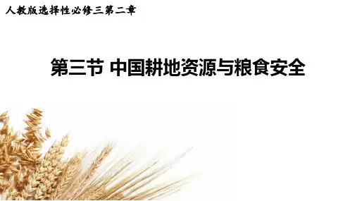 中国的耕地资源与粮食安全课件-高二地理人教版(2019)选择性必修3 