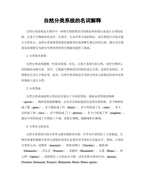 自然分类系统的名词解释