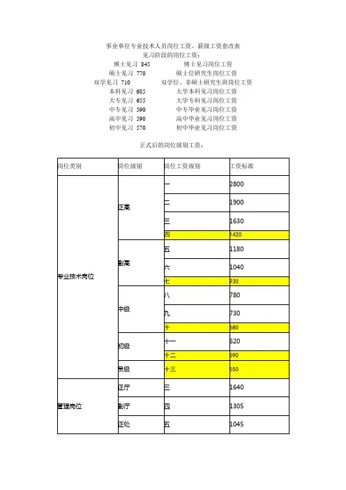 事业单位专业技术人员岗位工资