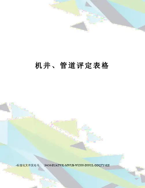 机井、管道评定表格