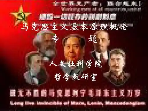 马克思主义基本原理概论_专题四