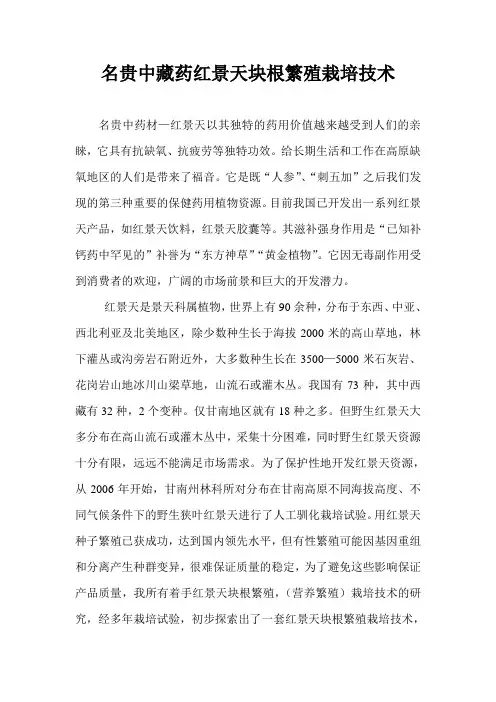 名贵中藏药红景天块根繁