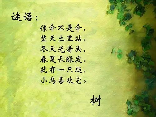 人美版二年级下册美术课件-第3课 认识身边的树 