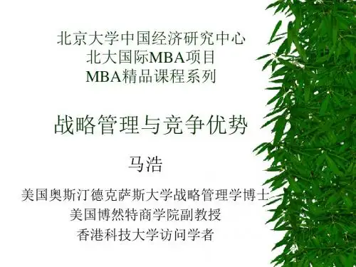 战略管理与竞争优势