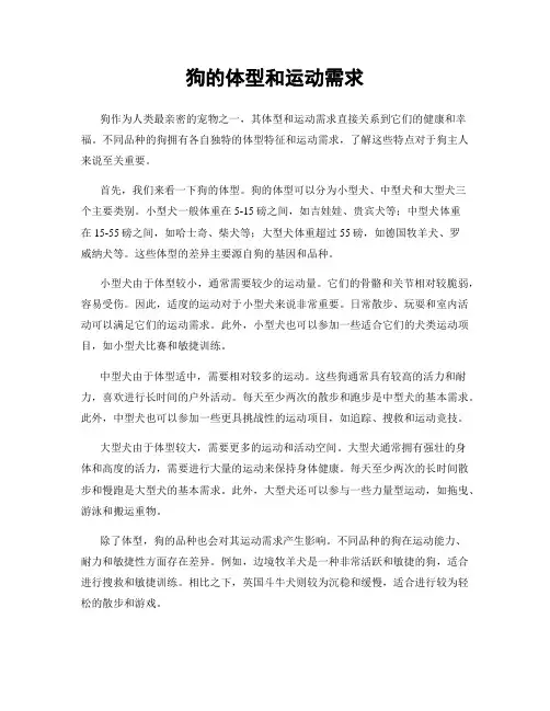 狗的体型和运动需求