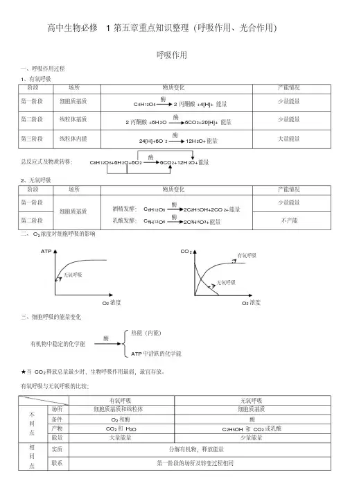 高中生物必修1第五章重点知识整理(呼吸作用、光合作用)