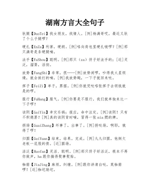 湖南方言大全句子
