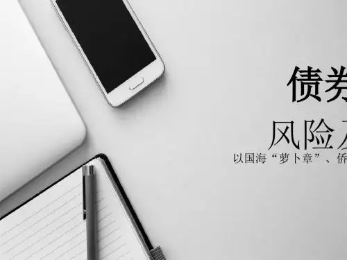 债券筹资风险及防控培训教材(PPT 31张)