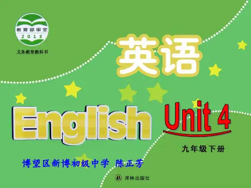译林牛津版9下 Unit 4 Integrated Skills教学课件  (共44张PPT)