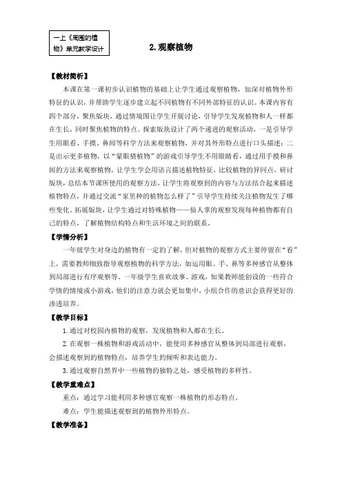  2024年秋新教科版一年级科学上册 1-2《观察植物》教学设计