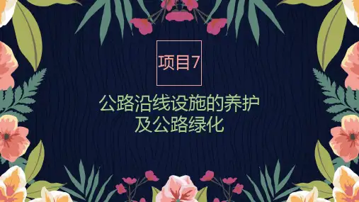 《公路养护技术与管理》课件-公路沿线设施的养护及公路绿化
