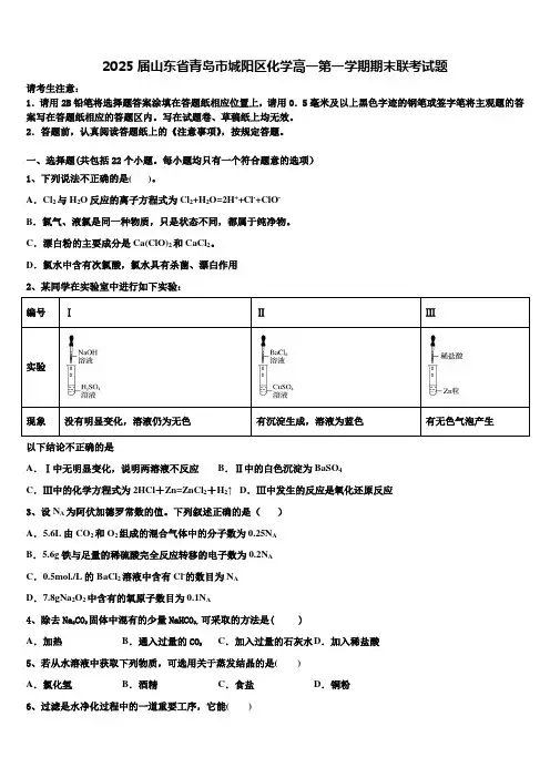 2025届山东省青岛市城阳区化学高一第一学期期末联考试题含解析
